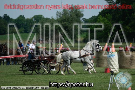 Mintakép 20260531-1816