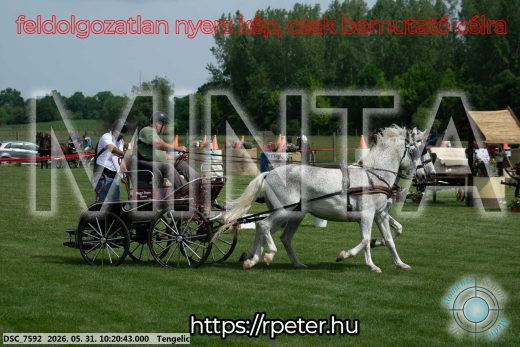 Mintakép 20260531-1820