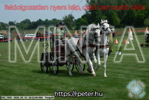 Mintakép 20260531-1828