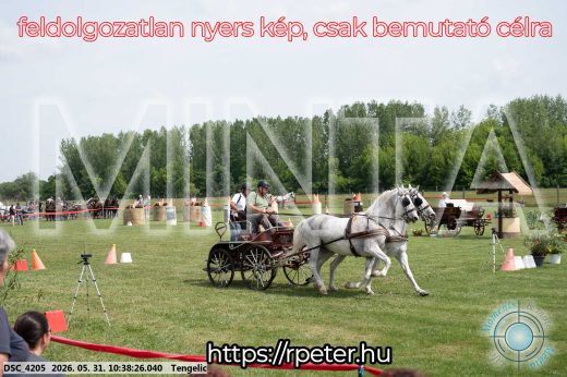 Mintakép 20260531-1851