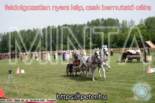 Mintakép 20260531-1858
