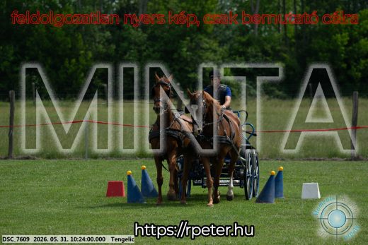 Mintakép 20260531-1864