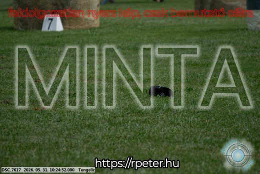 Mintakép 20260531-1872