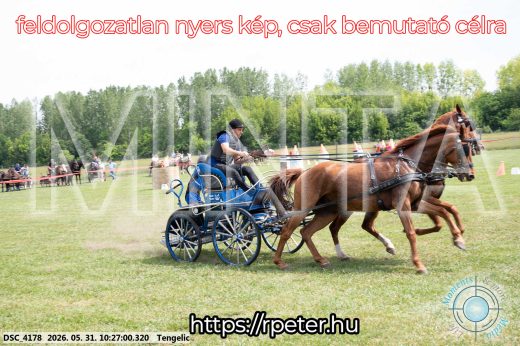 Mintakép 20260531-1881