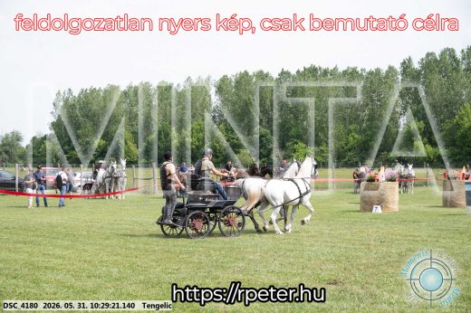 Mintakép 20260531-1888