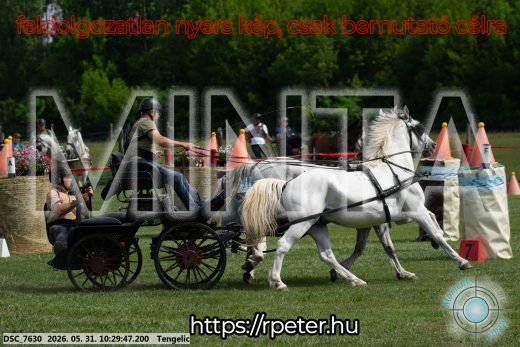 Mintakép 20260531-1890
