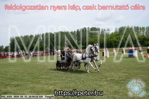 Mintakép 20260531-1892