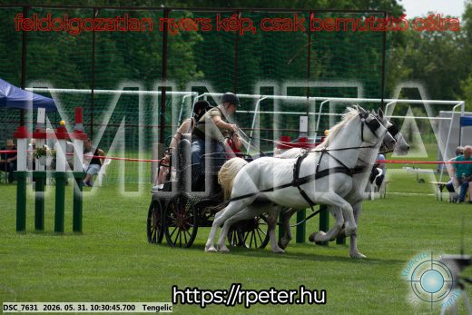 Mintakép 20260531-1893
