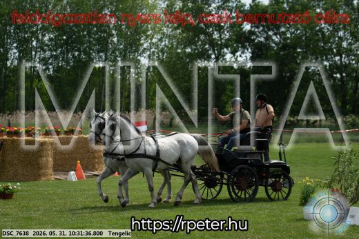 Mintakép 20260531-1899
