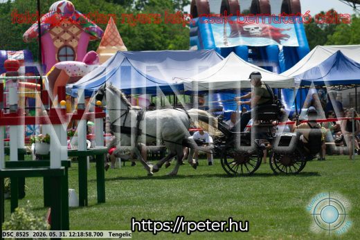 Mintakép 20260531-1905