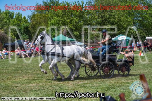 Mintakép 20260531-1906