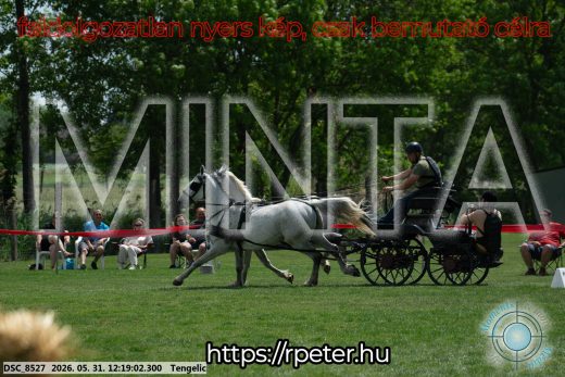 Mintakép 20260531-1908
