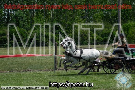 Mintakép 20260531-1909