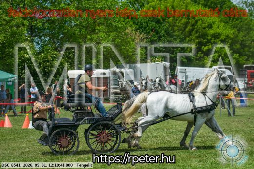 Mintakép 20260531-1917