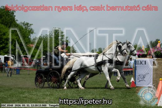 Mintakép 20260531-1924