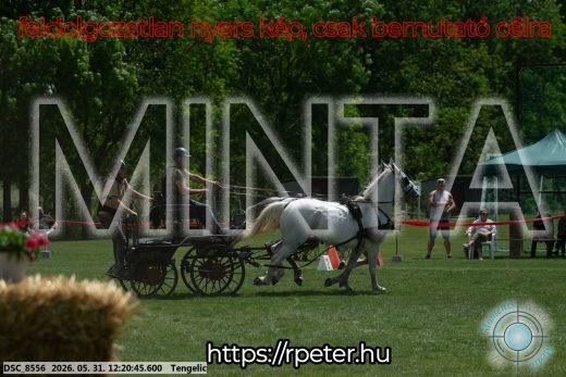 Mintakép 20260531-1929