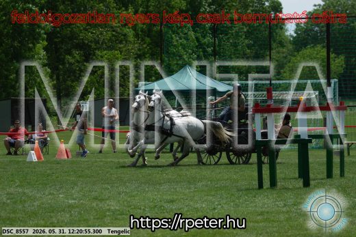 Mintakép 20260531-1930