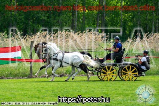 20260531-103236-DSC_7641.jpg
