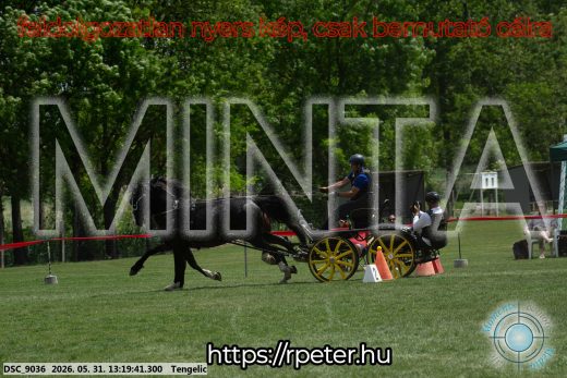 Mintakép 20260531-1978