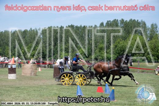 Mintakép 20260531-1986