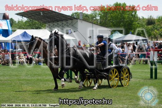 Mintakép 20260531-2021
