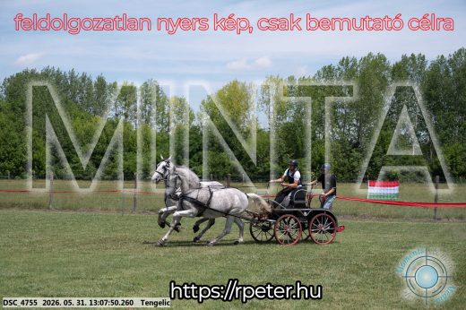 Mintakép 20260531-2045