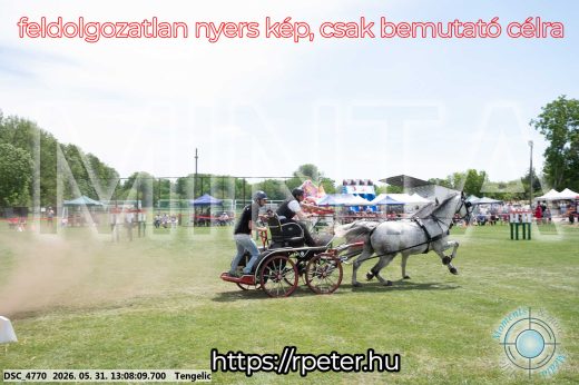 Mintakép 20260531-2058