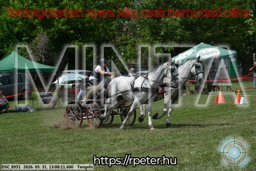 Mintakép 20260531-2061