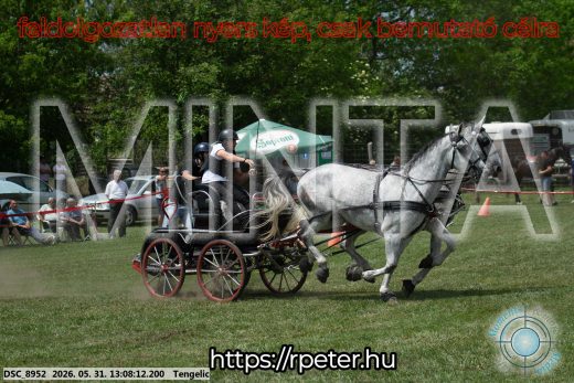 Mintakép 20260531-2063