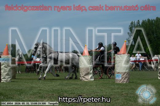 Mintakép 20260531-2065