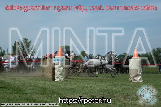 Mintakép 20260531-2066