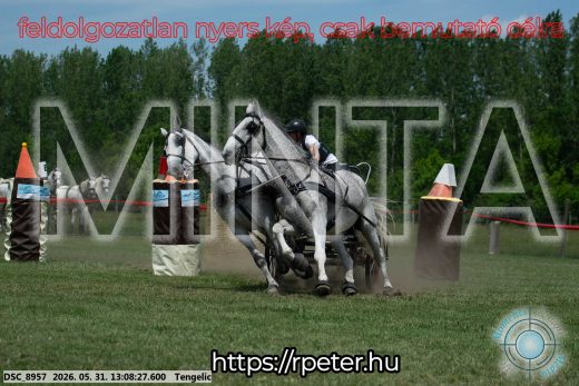 Mintakép 20260531-2068