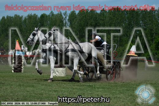 Mintakép 20260531-2069