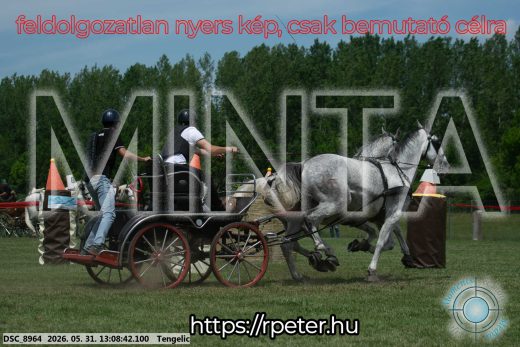 Mintakép 20260531-2074