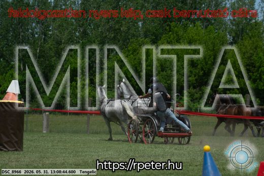 Mintakép 20260531-2076