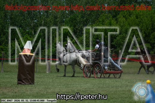 Mintakép 20260531-2077