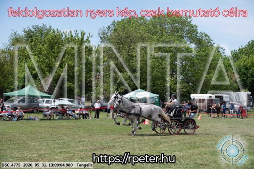 Mintakép 20260531-2080