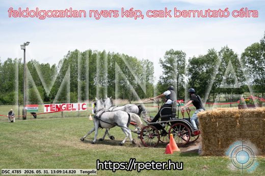 Mintakép 20260531-2091
