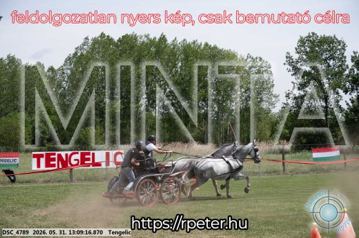 Mintakép 20260531-2095