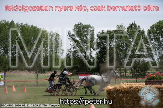 Mintakép 20260531-2096