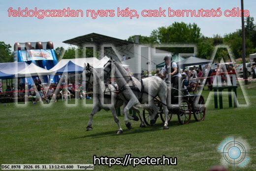 Mintakép 20260531-2110