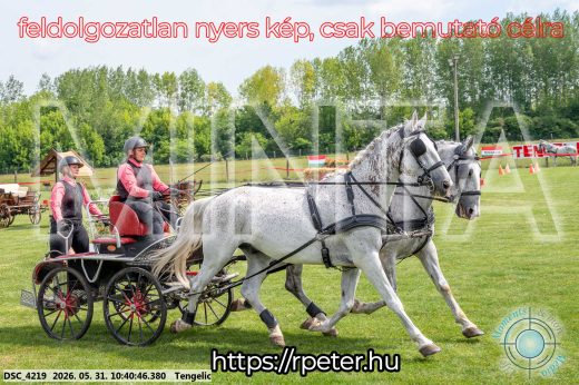 Mintakép 20260531-2125