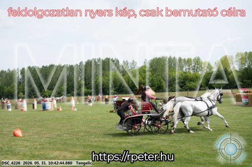 Mintakép 20260531-2144