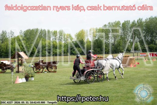 Mintakép 20260531-2146