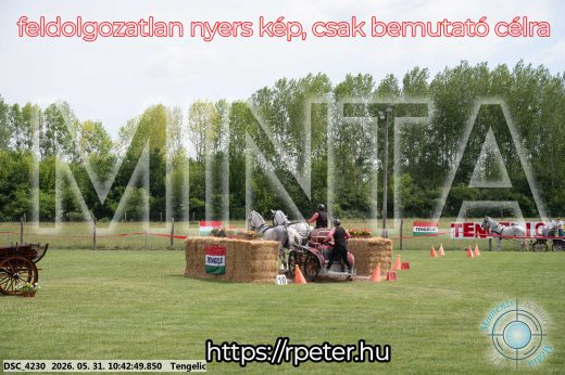 Mintakép 20260531-2149