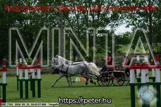 Mintakép 20260531-2151