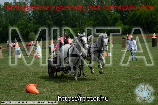 Mintakép 20260531-2162