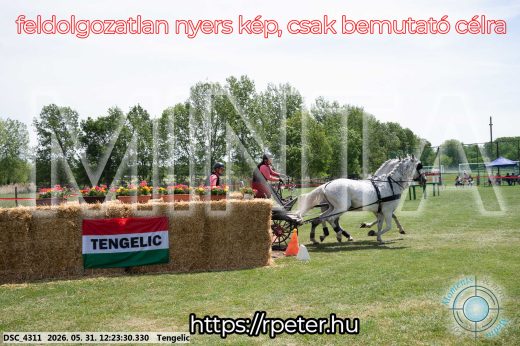 Mintakép 20260531-2169