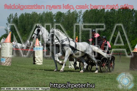 Mintakép 20260531-2176
