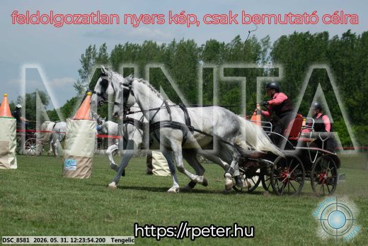 Mintakép 20260531-2177